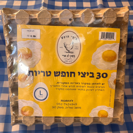 30 ביצי חופש L