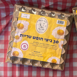 30 ביצי חופש XL