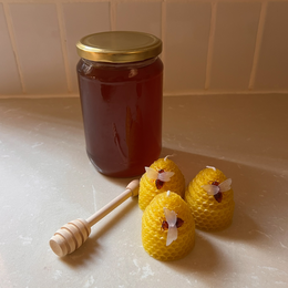 דבש מפרחי הדרים 0.5 ק