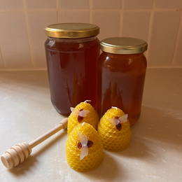 דבש מפרחי הדרים 1 ק